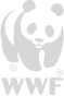 Logo 7